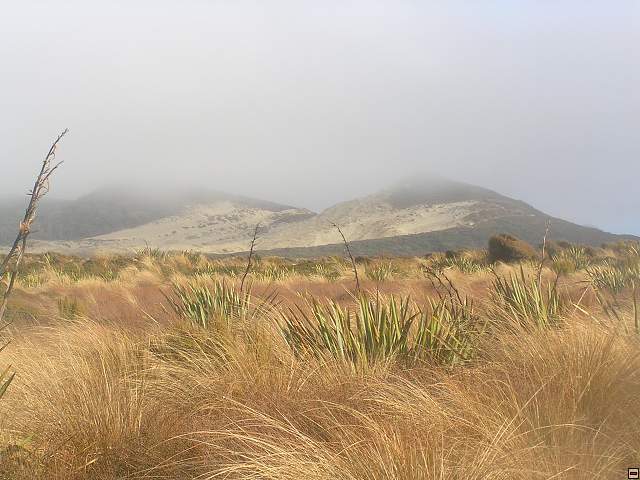 Steward Island 016.jpg